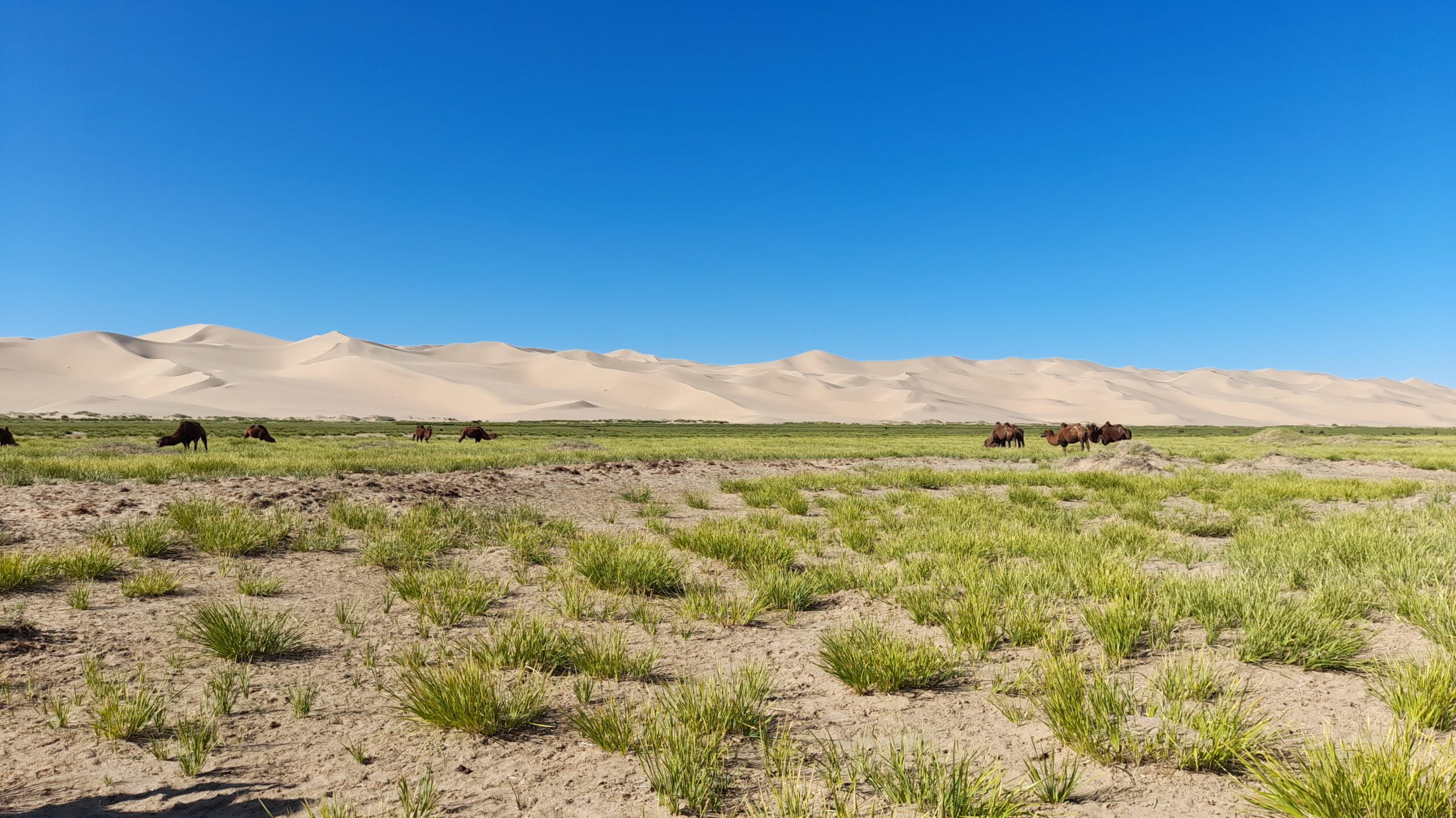 Nomadenland — Blog