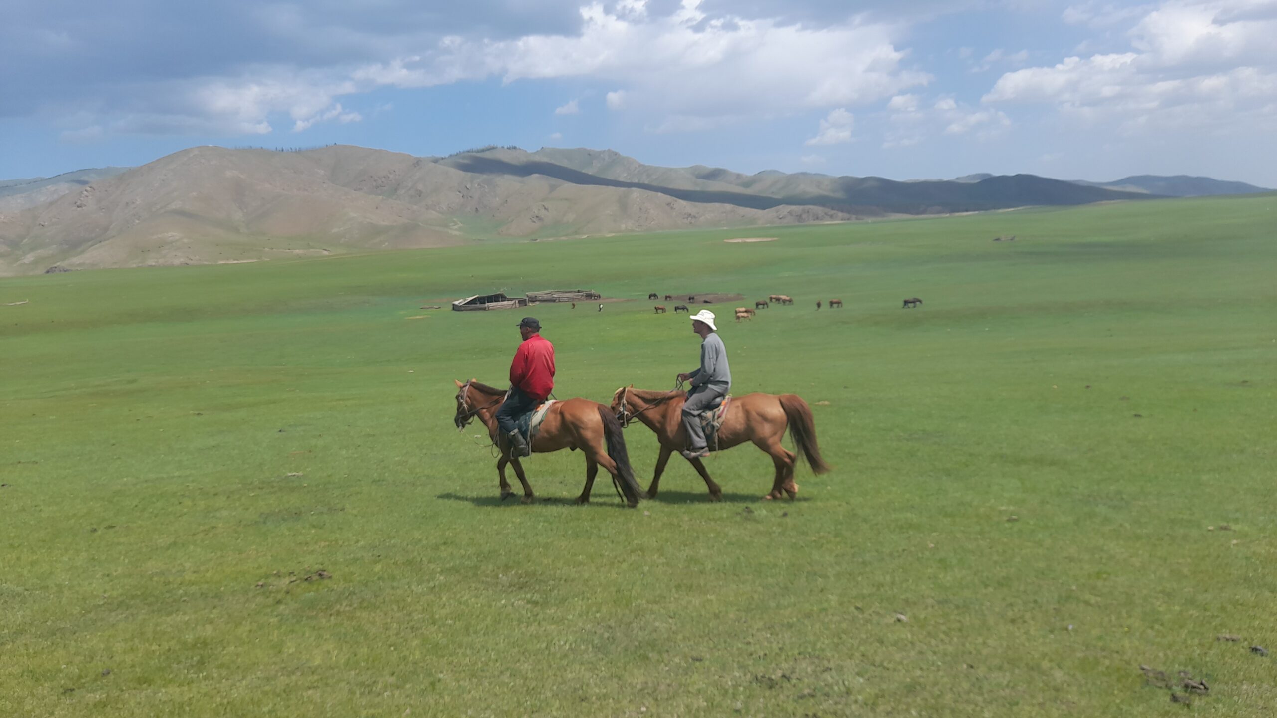 Reiten in der Mongolei